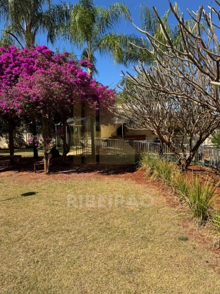 Imobiliária Ribeirão Preto - Aluga Ribeirão - Apartamento - Sumarezinho - Ribeirão Preto